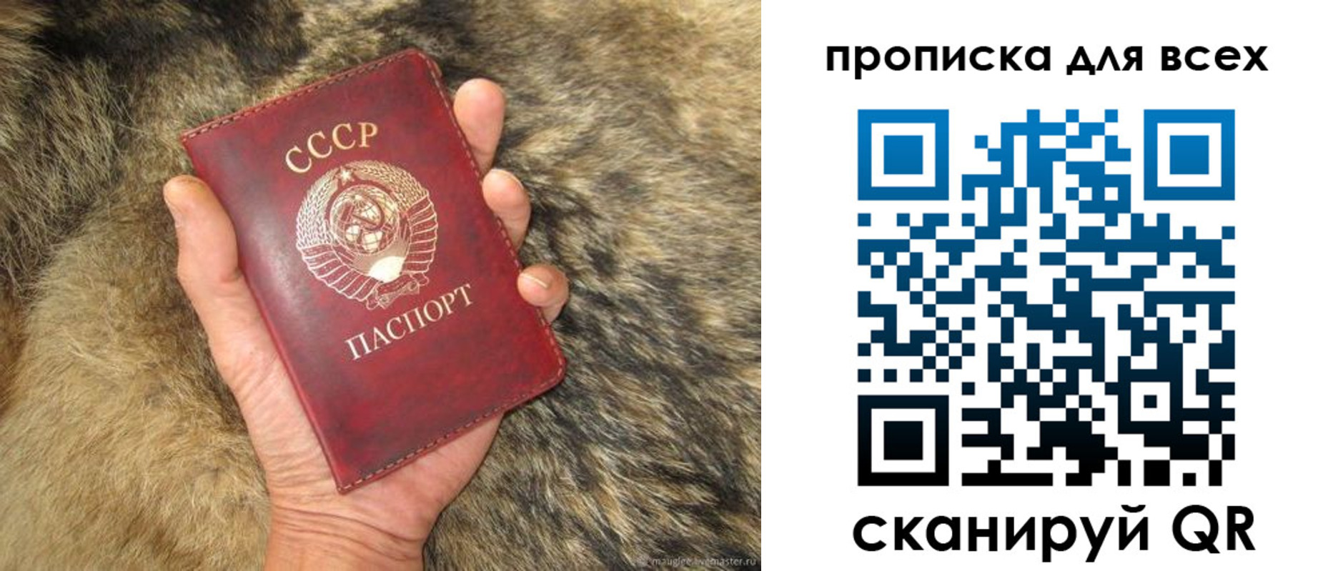 прописка в квартире в Костомукше